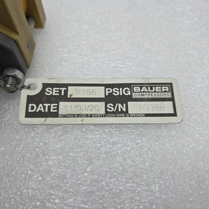 BAUER 059410 330 bar SAFETY VALVE NEW